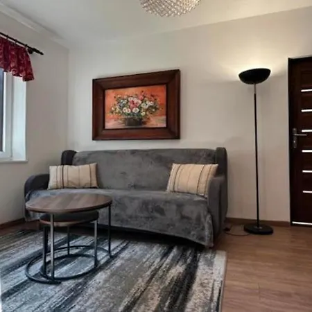 Vakantiehuis Comfortable With A Private Garden